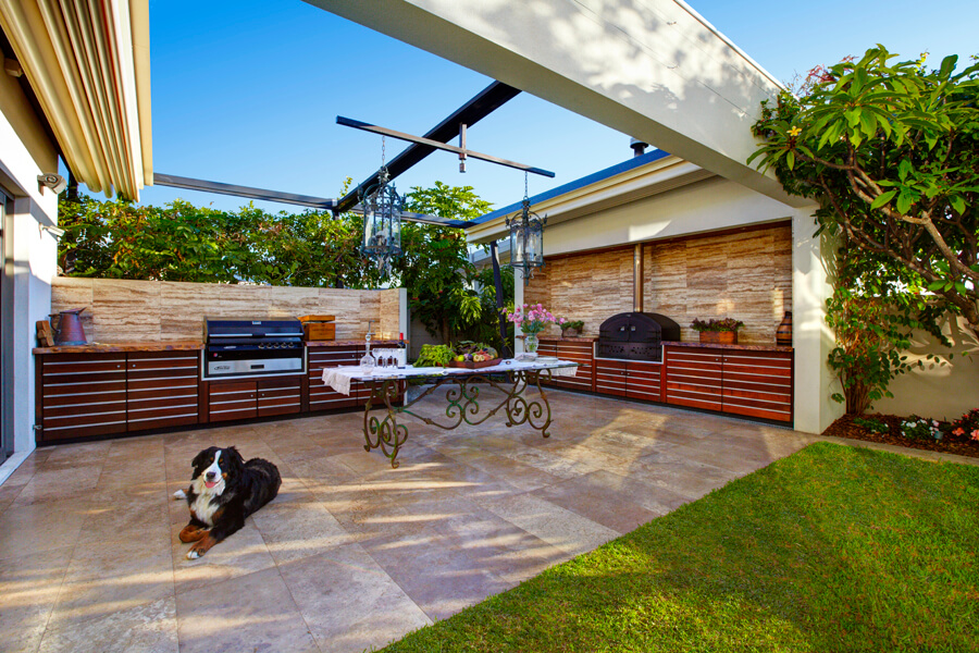 A dog sitting in outdoor landscape area of house