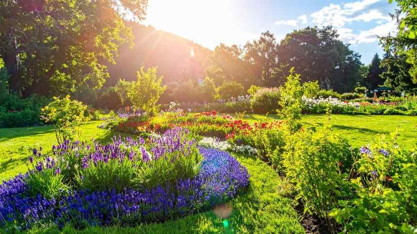 Preparing Your Perth Garden for Summer