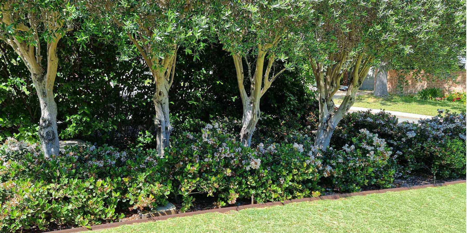 Perth Landscaping Company