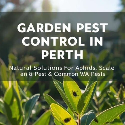 Garden Pest Control