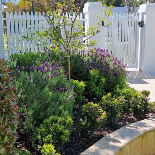 The Ultimate Guide to Perth Garden Design