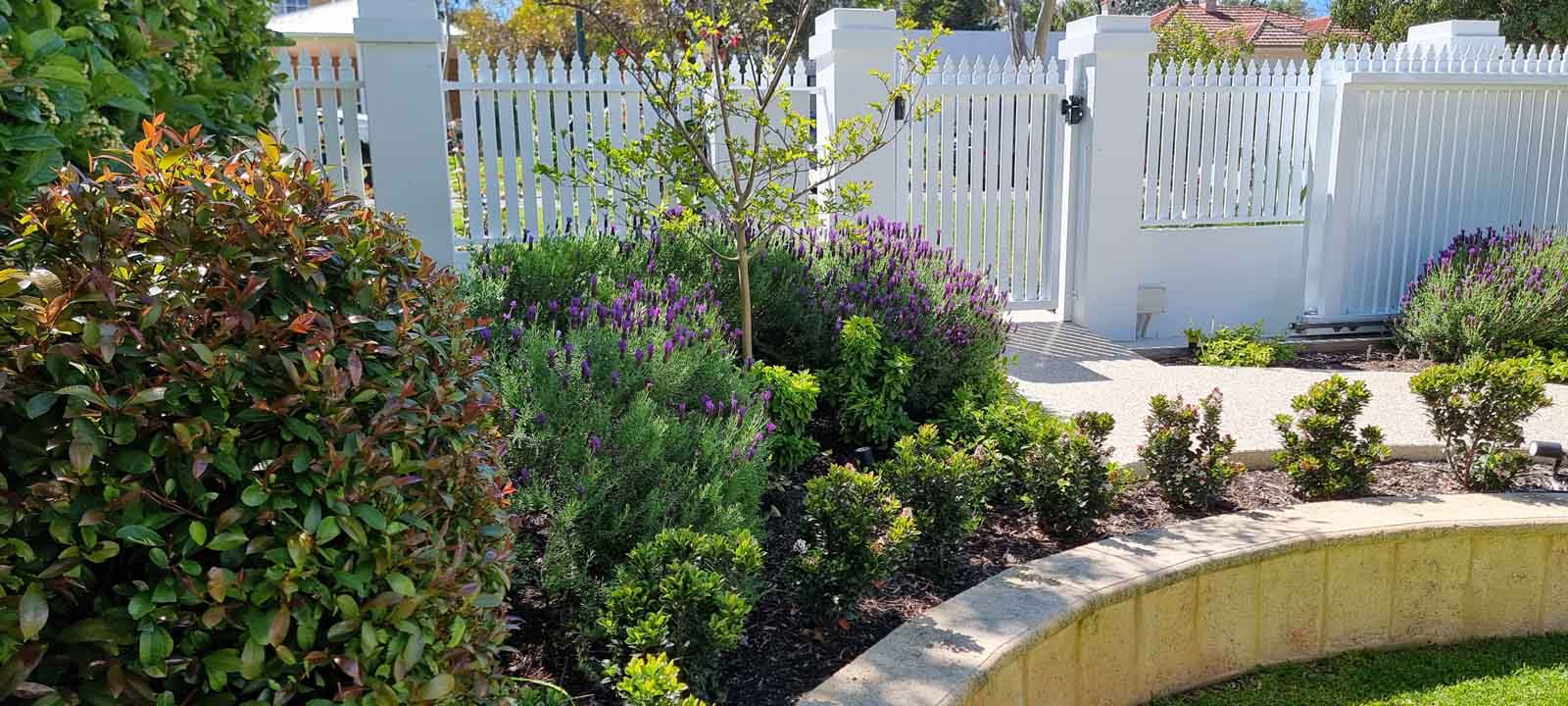 The Ultimate Guide to Perth Garden Design