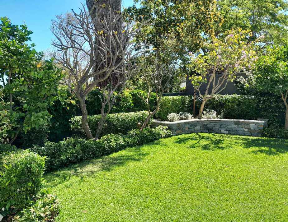 Martin Cuthbert Landscapes Perth